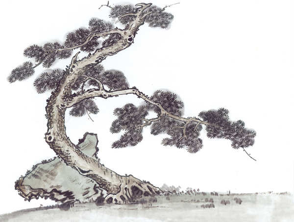 山邊古松
