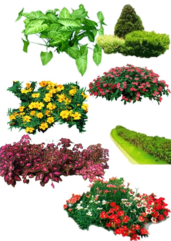 園林景觀PSD