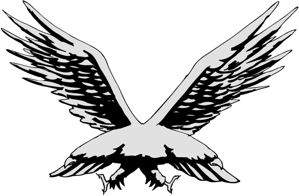 各種鳥類鳥動(dòng)物矢量素材EPS格式0004
