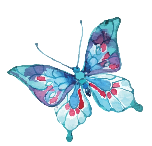 水彩蝴蝶绘画图案