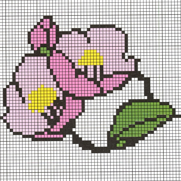 毛衫图案植物花卉色彩粉红色免费素材