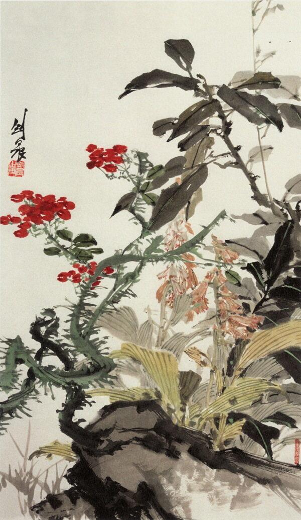 仙人刺圖片
