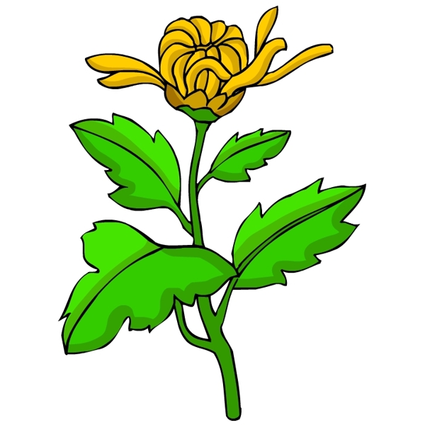 花卉古典插畫