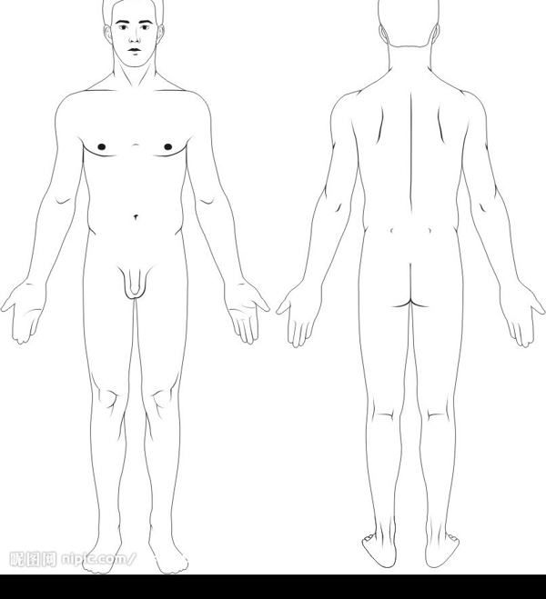 人體結構圖图片