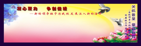 學校櫥窗展示六圖片