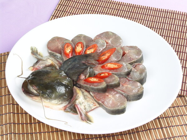 鯰魚圖片