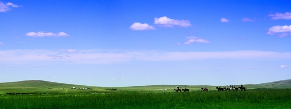 辽阔的草原与马队