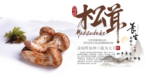 野菌山珍食材養(yǎng)生海報