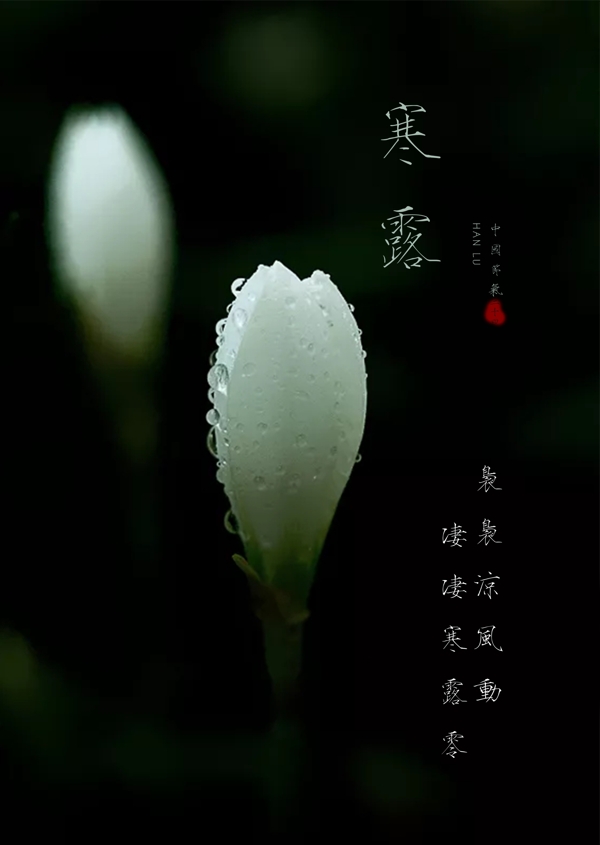 寒露
