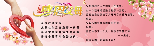 感恩父母圖片