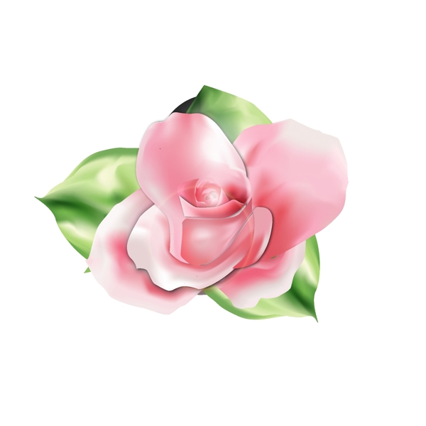 矢量手绘风美丽梦幻玫瑰花可商用元素