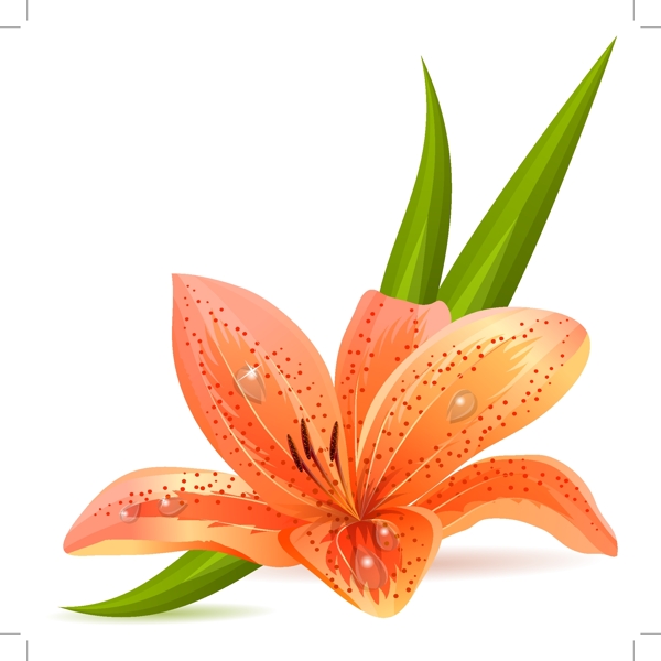歐美花紋1880矢量EPS