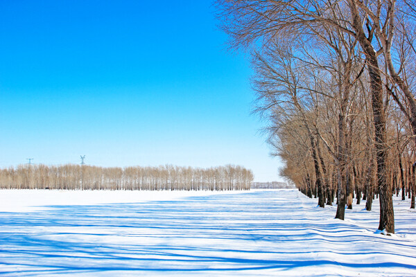寒冷的冬日雪景图片