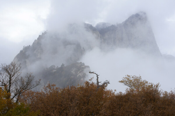 雪山雾景图片