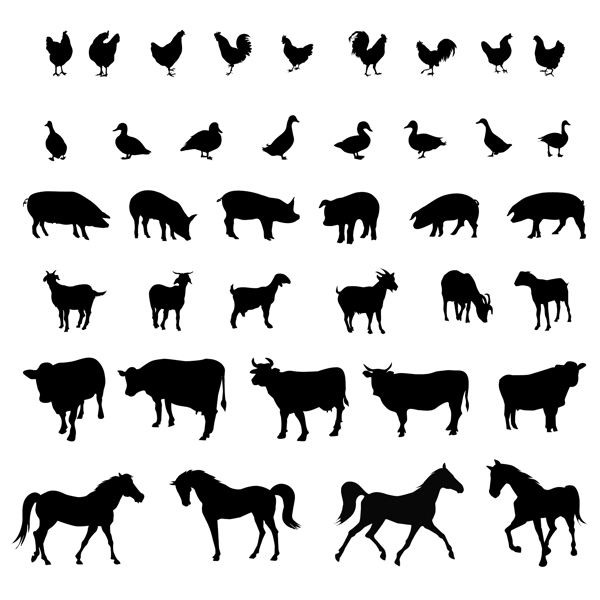 動物剪影