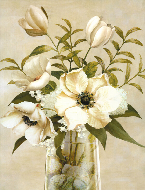 白色花卉油画图片