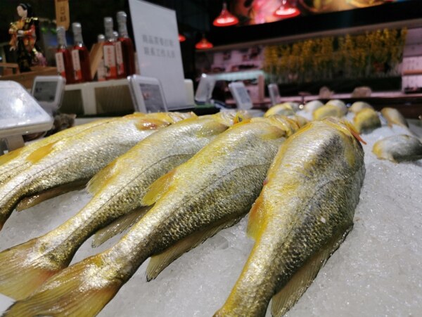超市里的大黄鱼