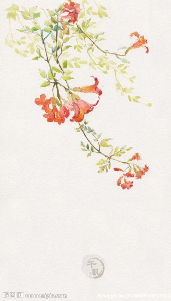 水彩花朵