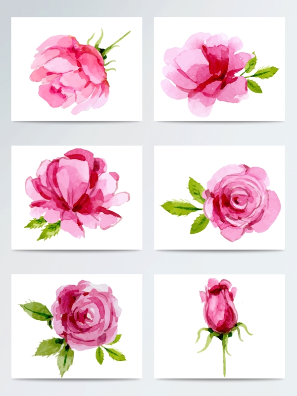 唯美手绘水彩粉色蔷薇花