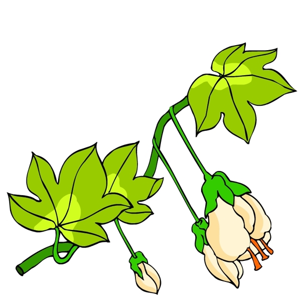 花卉古典插畫
