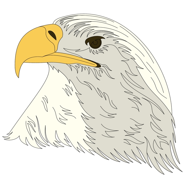 各種鳥類鳥動物矢量素材EPS格式0796