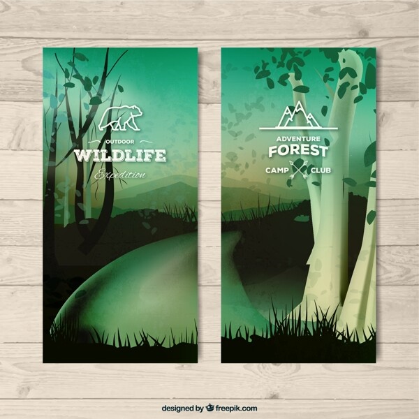 清晨森林树林背景海报