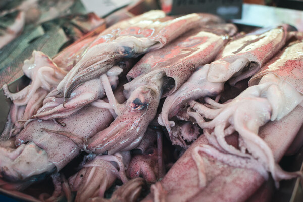 魷魚