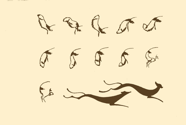 動(dòng)物圖案狗圖片