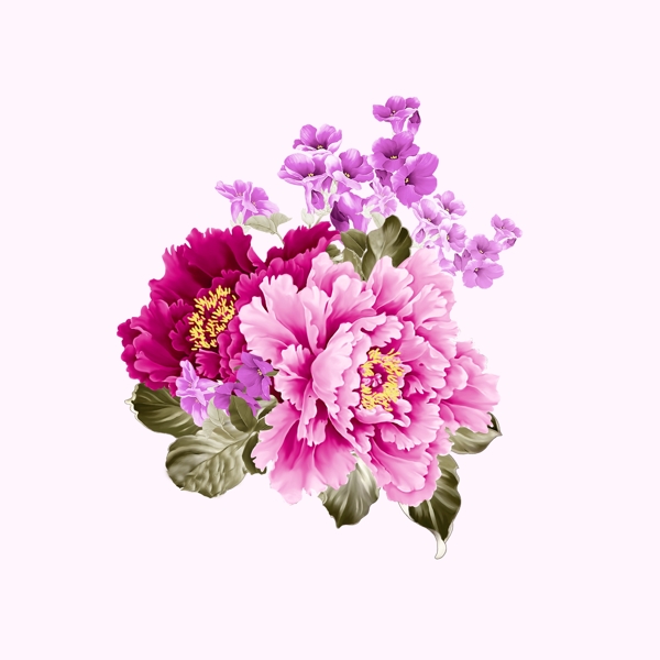 位圖psd植物花朵免費素材