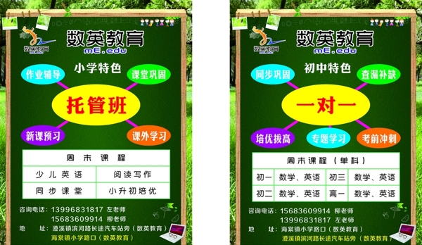 數(shù)英教育