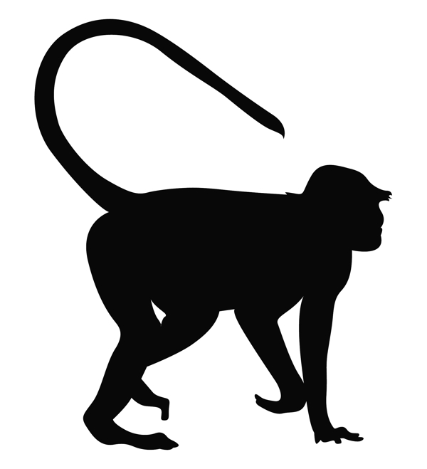 猴動(dòng)物剪影
