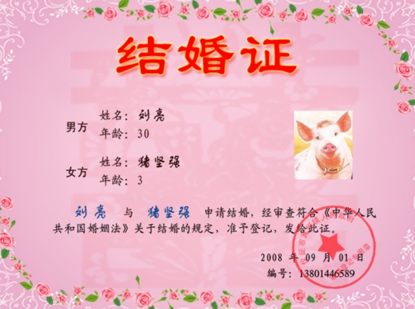 结婚证图片