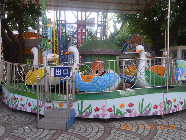 轉(zhuǎn)鴨子圖片