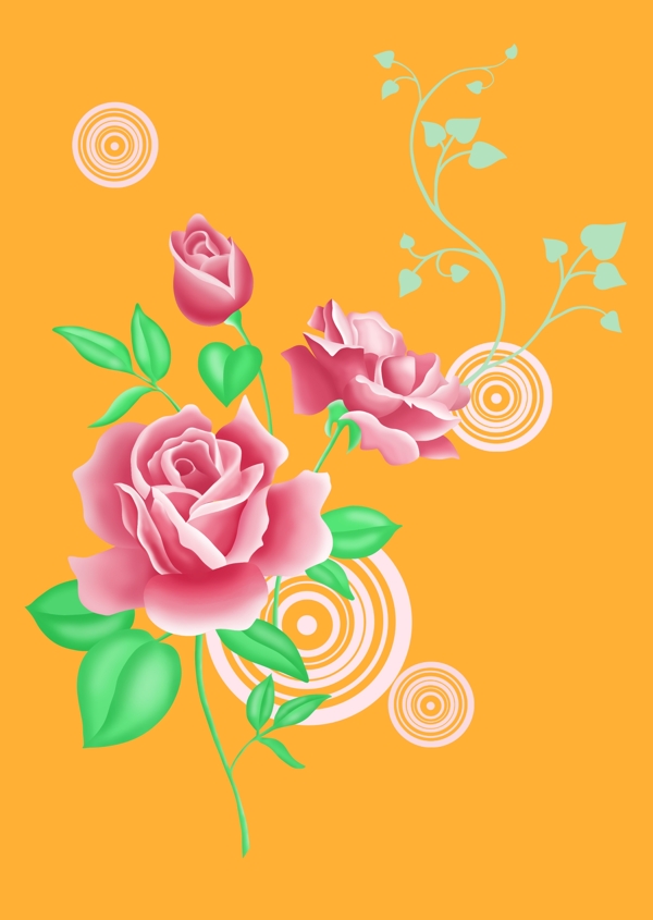 玫瑰花圖片