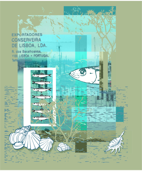 矢量魚貝殼素材