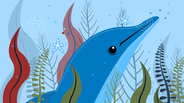 自然印记深海里的海豚