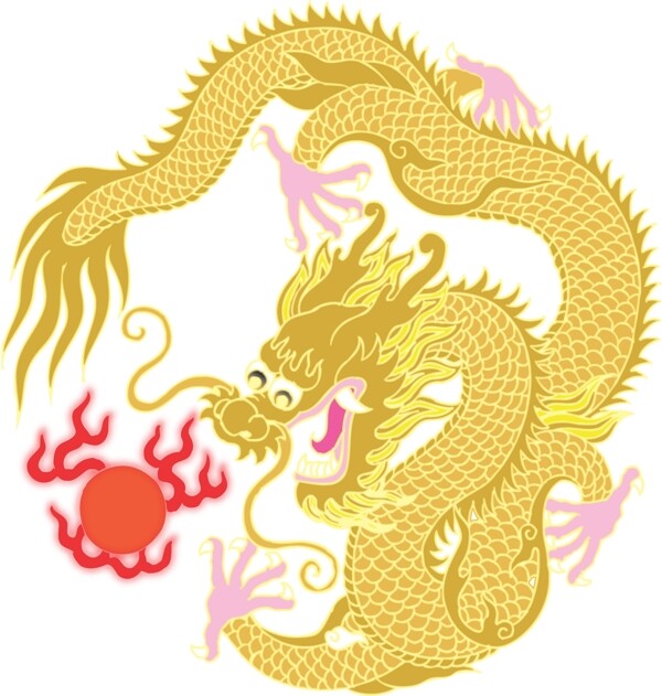 飛龍圖片