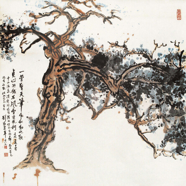 漢柏圖片