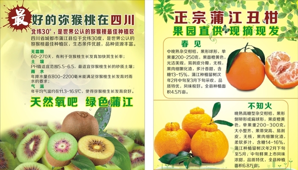 獼猴桃丑橘海報(bào)