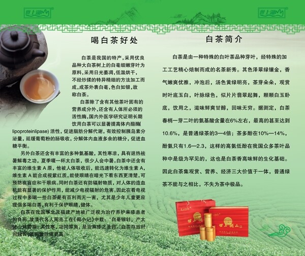 茶叶宣传册图片