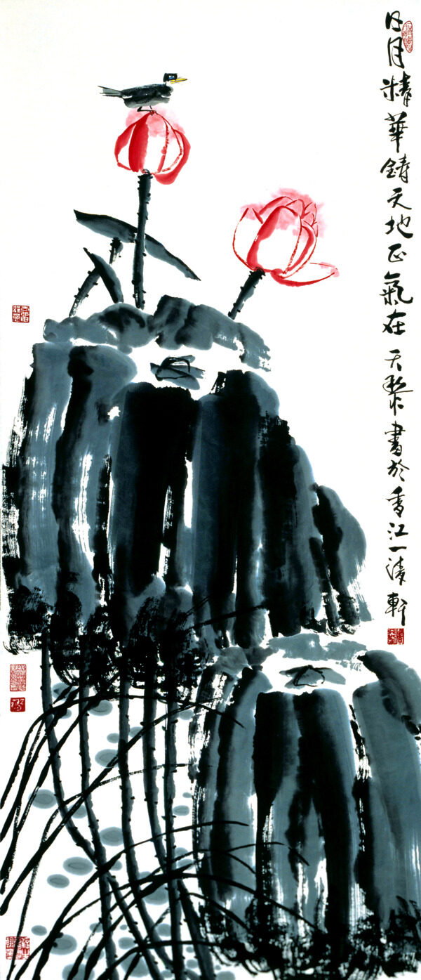 荷花小鳥圖圖片