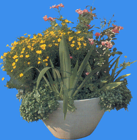 花缽194小品素材