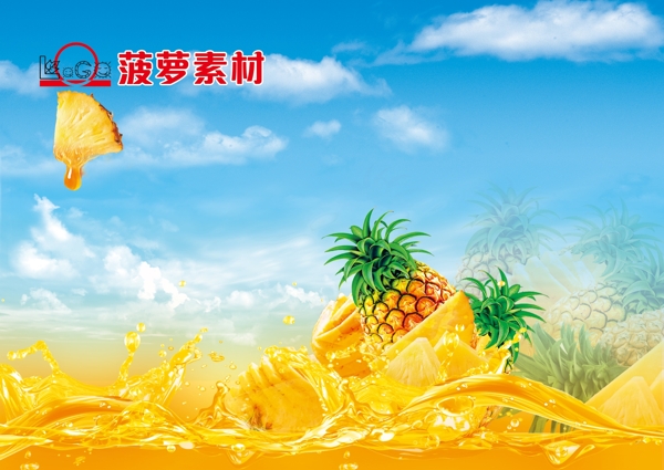 菠蘿