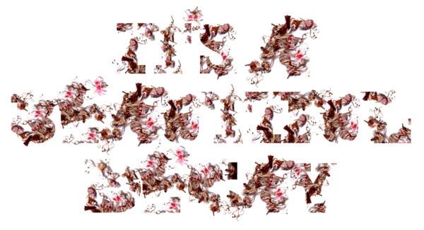 位圖個性文字字母色彩紅色免費(fèi)素材