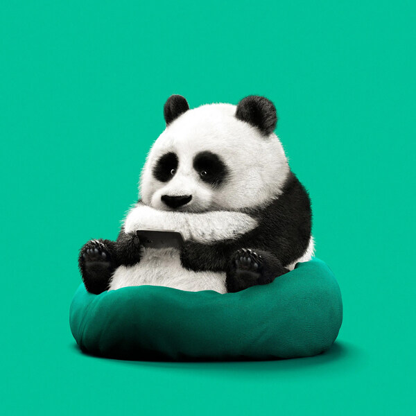 可爱大熊猫玩手机