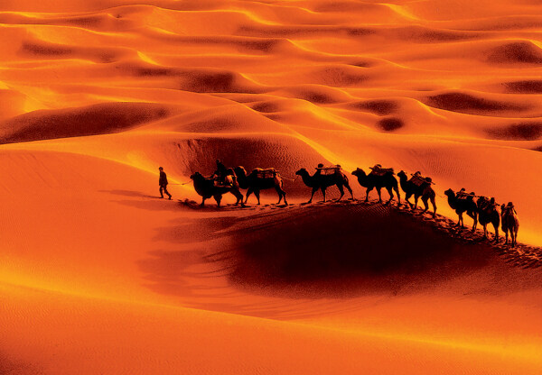 塔克拉玛干沙漠一隅图片