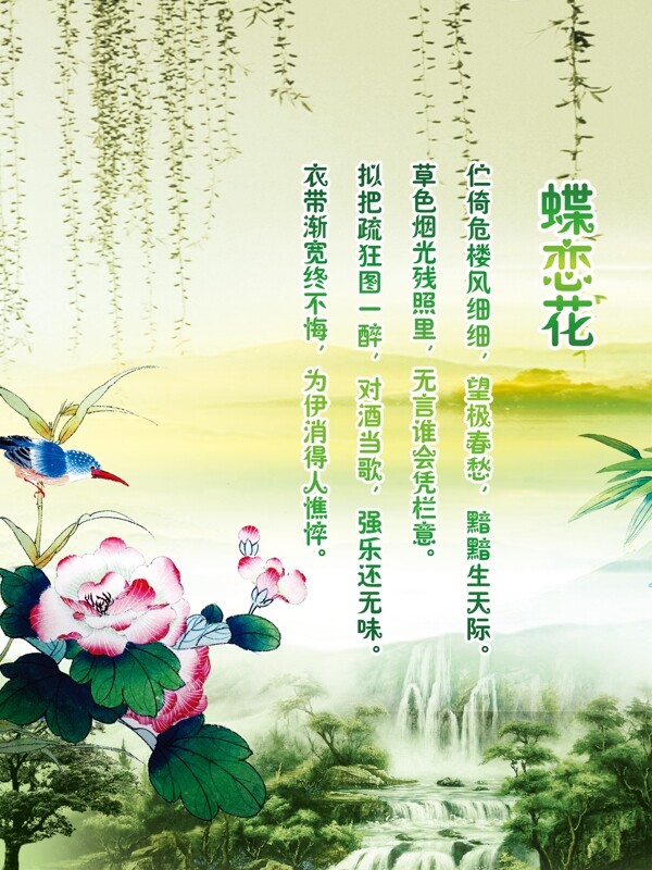 蝶戀花圖片