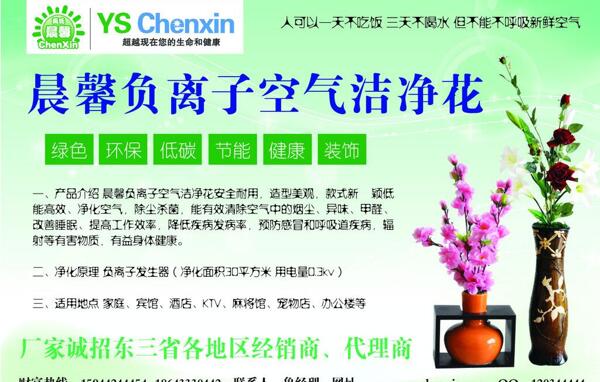 晨馨空氣潔凈花圖片