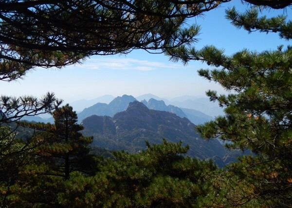 黃山風光黃山旅游黃山美景圖片