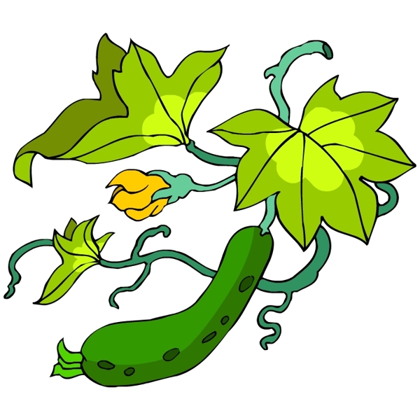 花卉古典插畫
